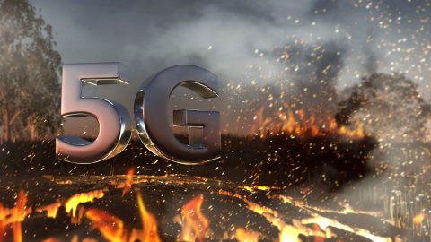 Major Concerns about Electromagnetic Fields (EMF) and Specifically
