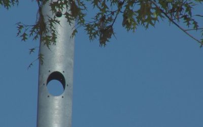 5G pole battle continues in south Tulsa neighborhood